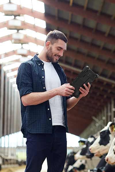A man uses a rugged tablet in a barn with cows