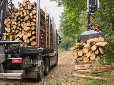 Truck loaded with logs in forest next to stack of lumber